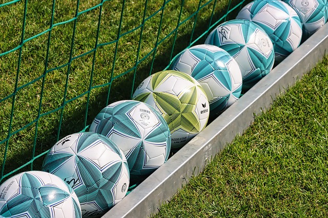 Portable Soccer Goal for Practice