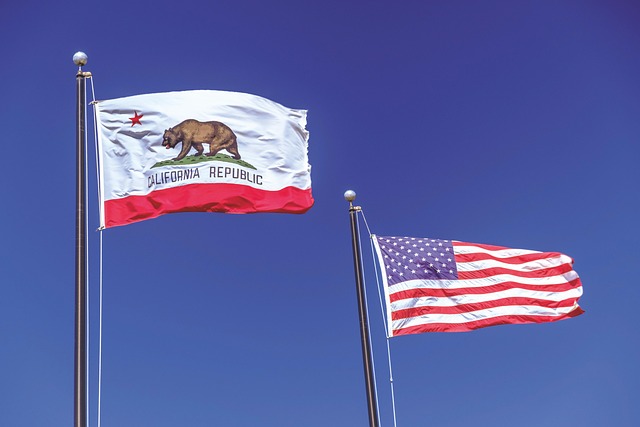 California State Flag 3x5 Feet