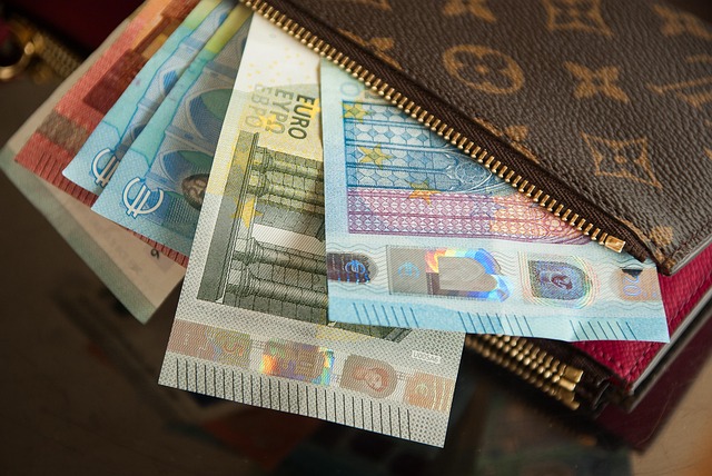 Lottery Ticket Organizer Wallet