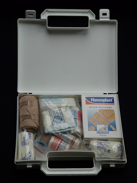 Ready America Emergency Kit