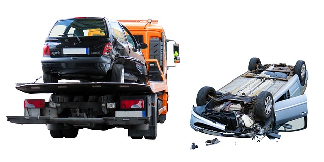 Car Crash Survival Guide