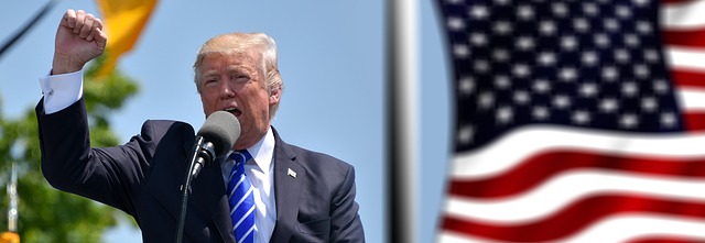 Trump 2024 Flag