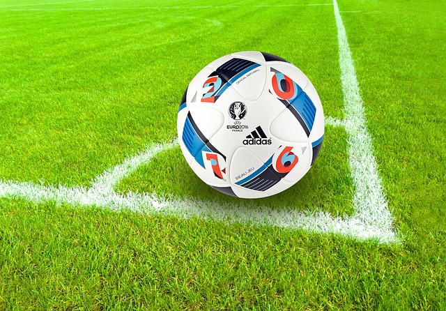 Adidas Soccer Ball