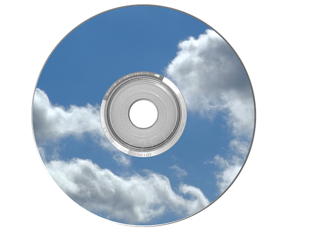 Peddi Movie DVD