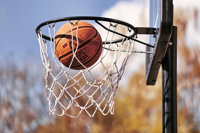 Wilson WNBA Authentic Series Basketball