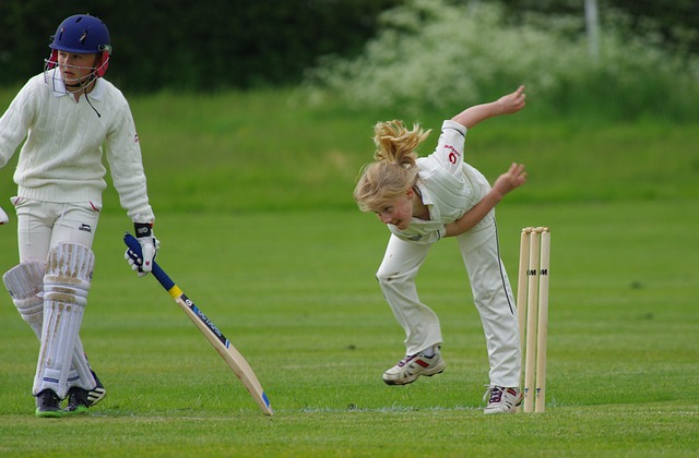 Cricket Ball