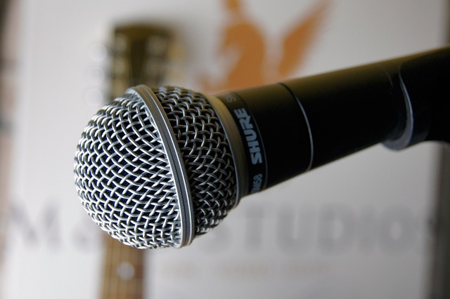 Shure SM7B Vocal Microphone