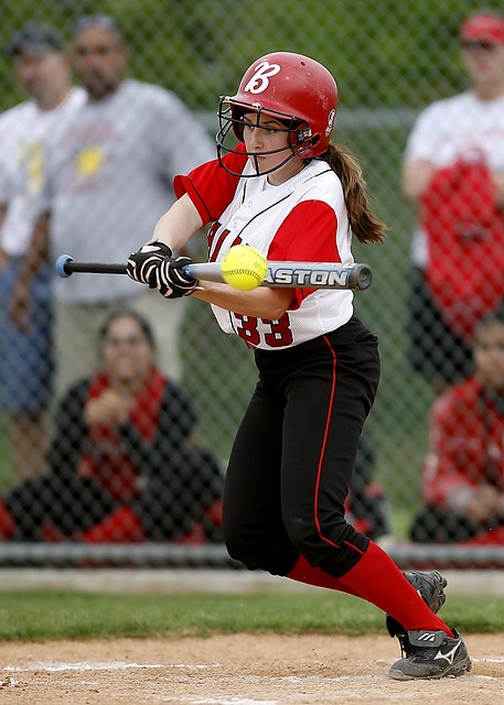 Fastpitch Softball Bat