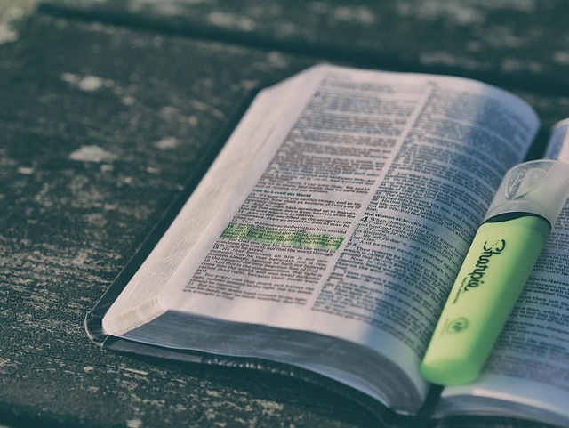 Highlighter Pens for Studying