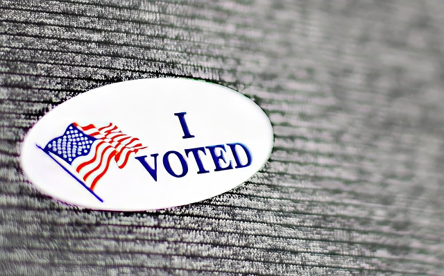 I Voted Sticker Pack 50 Pack