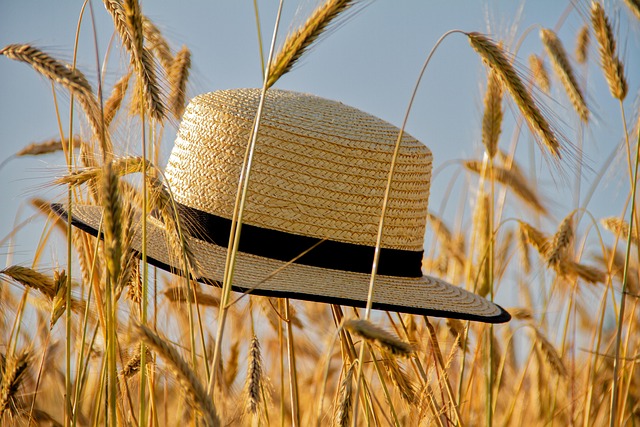 Trump 2024 Hat