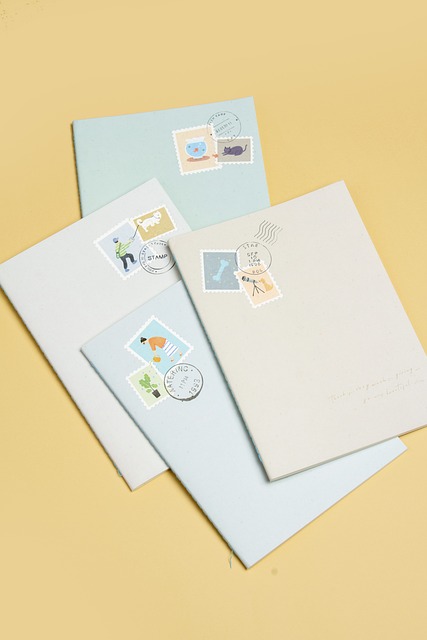 Postal Ballot Application Form Envelope with Tear-Off Strip