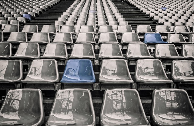 Stadium Seat Cushion