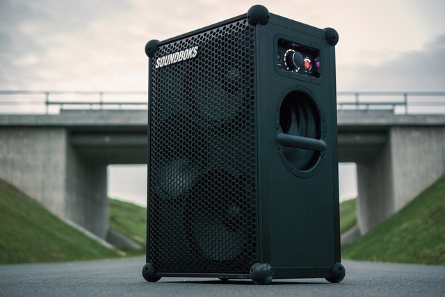 Portable Bluetooth Speaker for Outdoor Halftime Parties