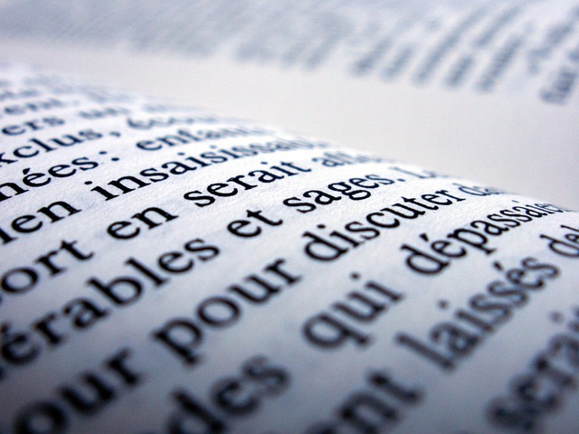 French Phrase Book for Travelers