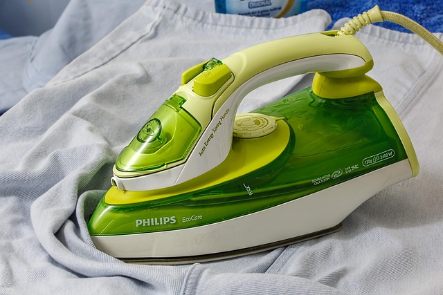 Sunbeam Turbo Steam Iron