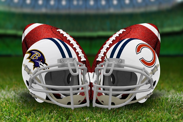Chicago Bears 2025 NFL Schedule Magnet