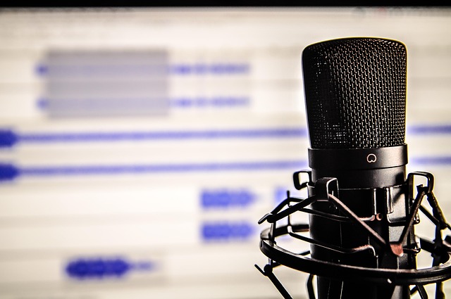 Digital Voice Recorder