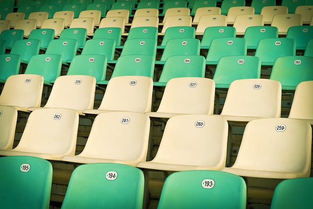 Portable Stadium Seat Cushion with Back Support
