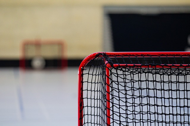 Hockey Goal Net for Practice