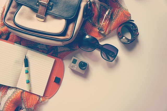 Scarf Organizer for Travel