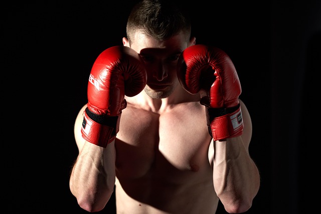 UFC Official Fight Gloves
