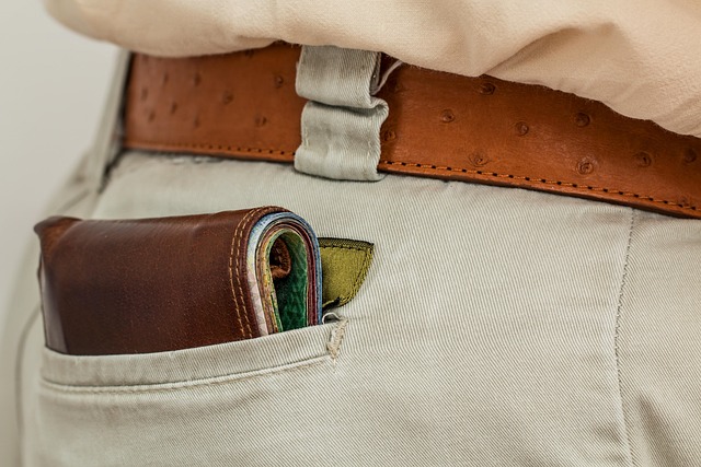 Travel Money Belt