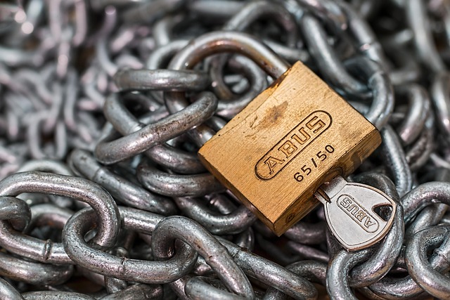 TSA-Approved Travel Lock for Airport Security