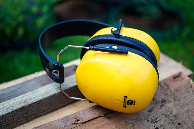 Noise Cancelling Earplugs for NASCAR