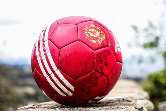 World Cup Halftime Show LED Light Up Soccer Ball