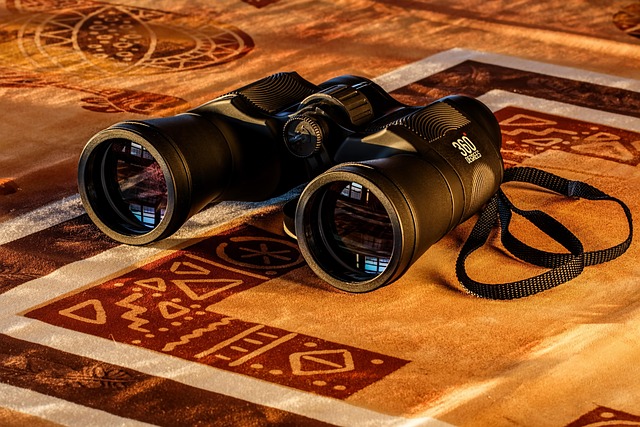 Night Vision Goggles for Border Surveillance