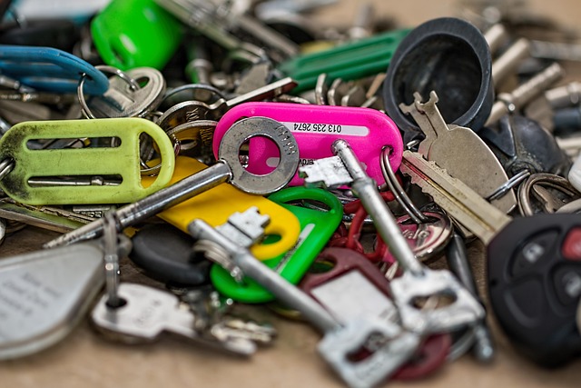 Travel Safety Whistle with Keychain
