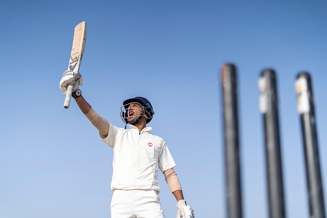 Cricket Bat