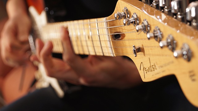 Fender American Professional II Stratocaster