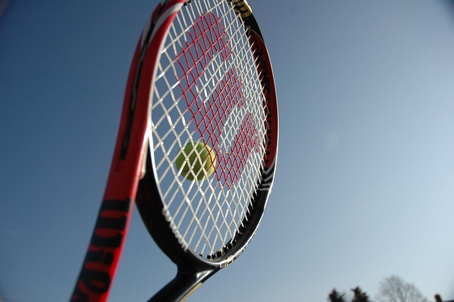 Wilson Roland Garros Tennis Ball