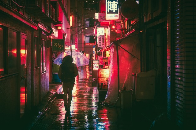 Travel Umbrella