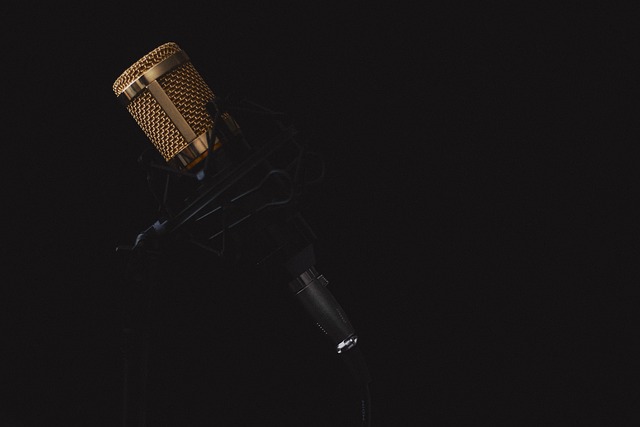 Digital Voice Recorder for Documentation