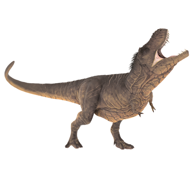 A Tyrannosaurus rex fossil as it appears in a museum exhibit.