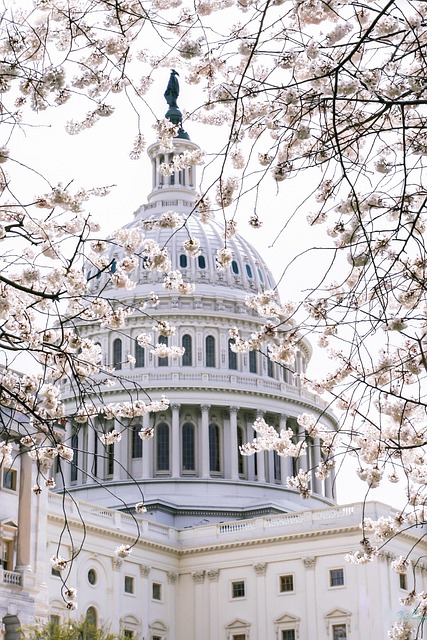 Senate Bill Tracking and Alert Service