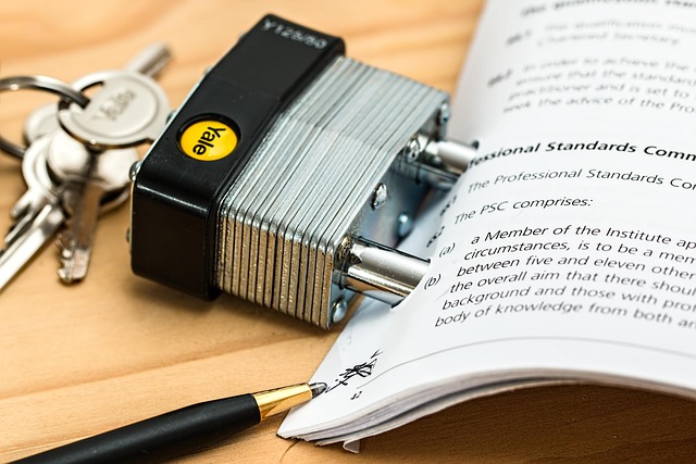 Legal Document Organizer Binder