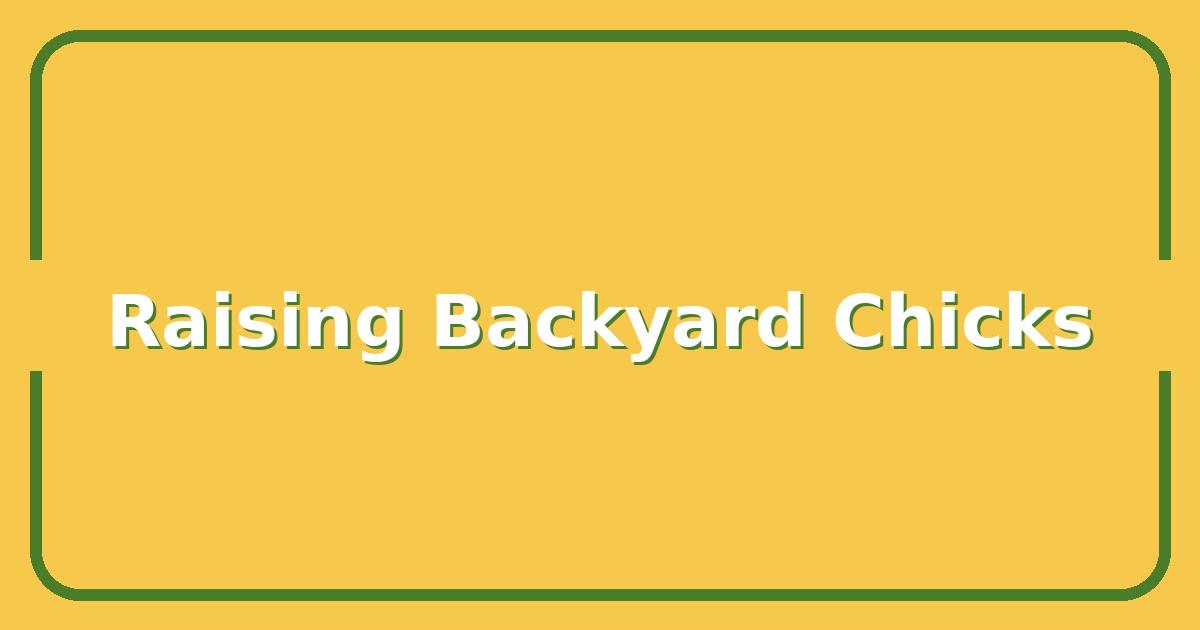 Raising the Chicks, 7 Essential Steps for a Thriving Backyard Flock