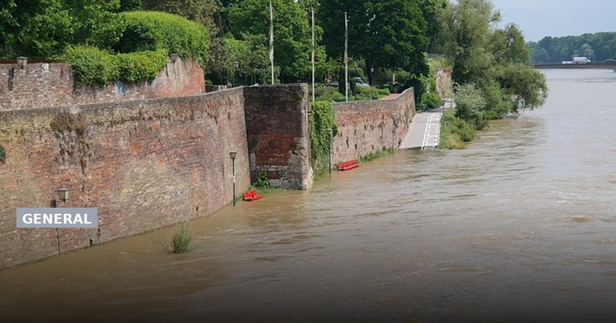 How to Identify and Address Water Damage Near Me