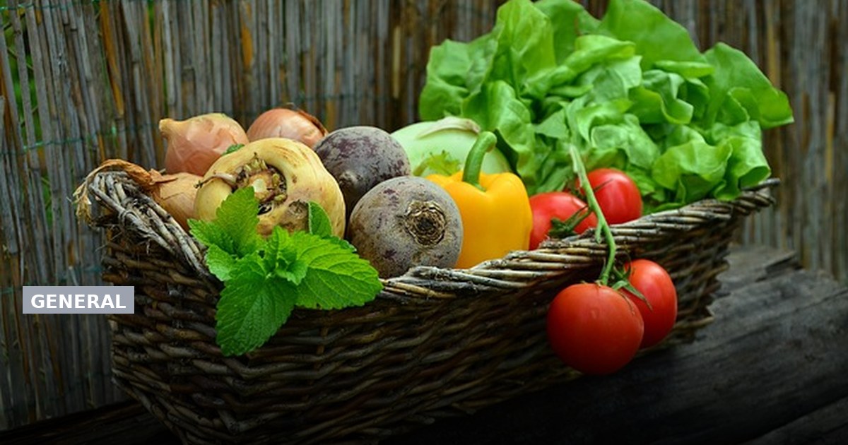 Is It Safe to Eat Lettuce Right Now? Current Safety Facts and Advice