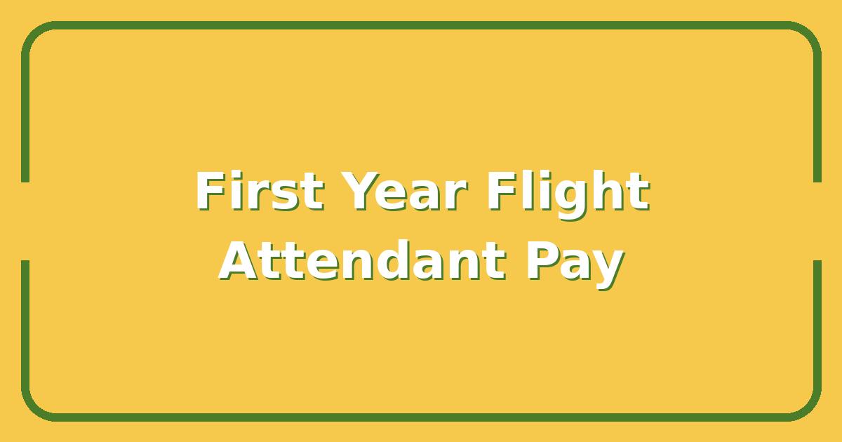Flight Attendant Salary vs. Reality, What You Actually Earn in Your First Year