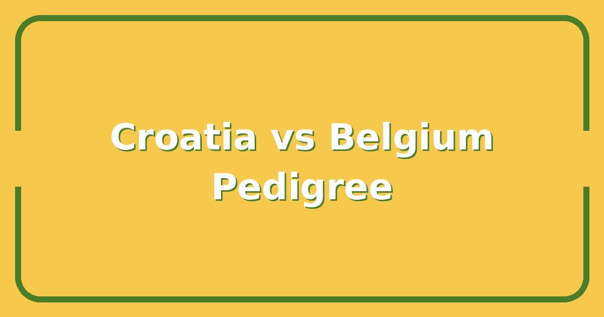 Croatia vs Belgium, Which Team Has the Stronger World Cup Pedigree?